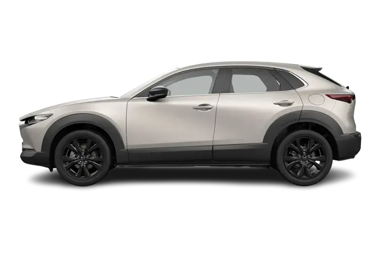 MAZDA CX-30 HATCHBACK 2.5 e-Skyactiv G MHEV [140] Homura 5dr Auto