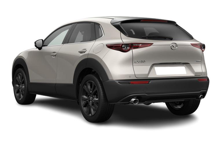 MAZDA CX-30 HATCHBACK 2.0 e-Skyactiv X MHEV Homura 5dr Auto [Sunroof]