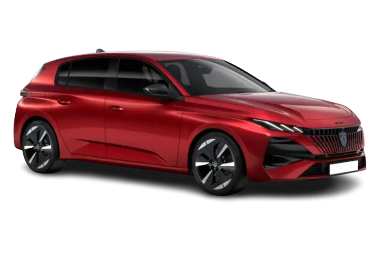 E-308 ELECTRIC HATCHBACK